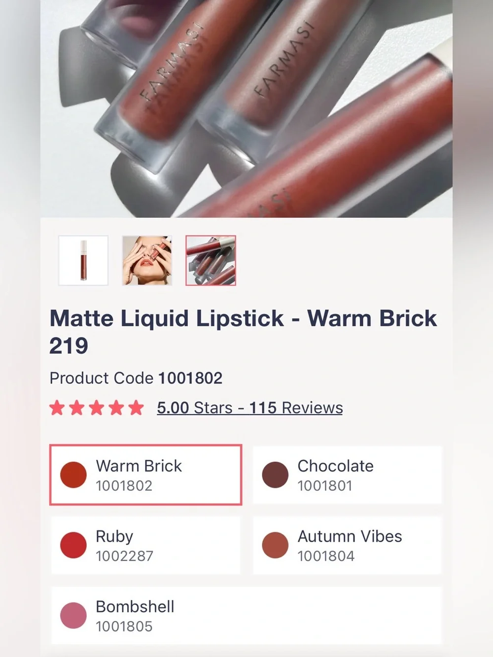 🌙✨🏷️🆕Farmasi Matte Liquid Lipstick - SHADE : WARM BRICK